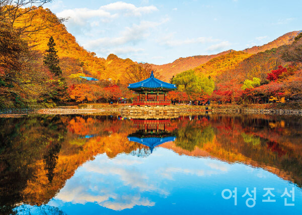 취향대로 떠나는 단풍 나들이