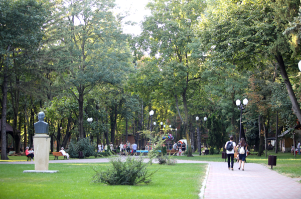 식물원 산책로.