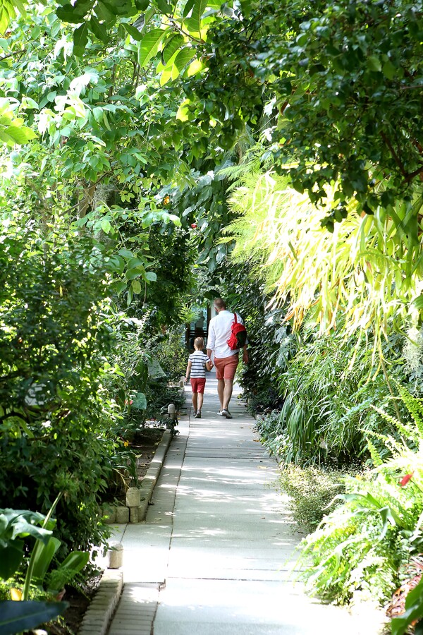 식물원 오솔길.