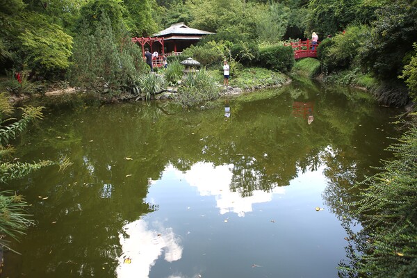 고즈넉한 분위기의 일본식 정원.