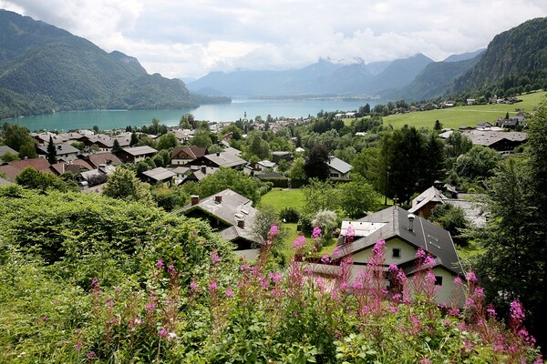 잘츠카머구트 언덕 풍경.