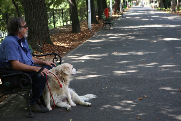 리버티 공원 산책로.
