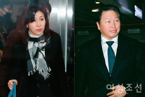 법무법인 신혜성 변호사 재판관 재직 중 SK주식 처분금지 가처분 신청 사건을 인용하기로 결정(SK 최태원, 노소영 주식재산분할 사건) 7